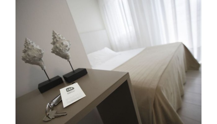 Hotel Delle Mimose poza 1