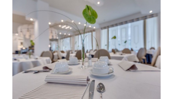 Hotel Delle Mimose poza 6