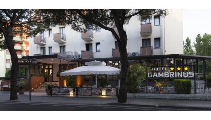 Hotel Gambrinus poza 5