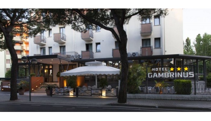 Hotel Gambrinus poza 2
