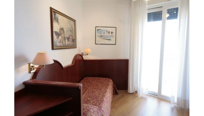 Hotel Napoleon poza 0