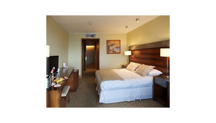 Hotel Radisson Puerto Varas poza 1