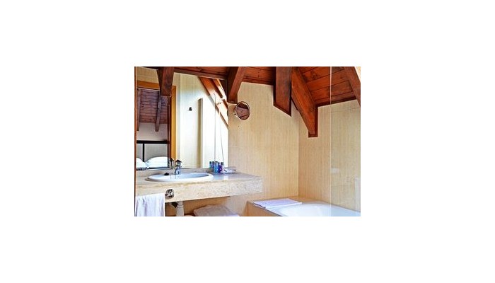 Acevi Val D'aran Hotel poza 4