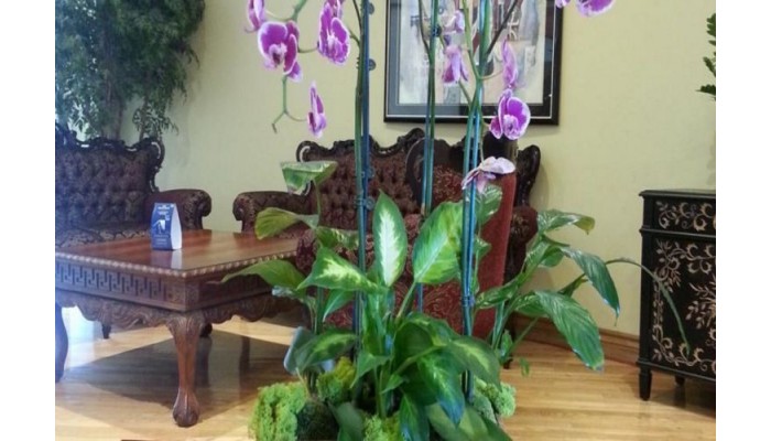 Hotel Ramada Los Angeles/wilshire Center poza 4