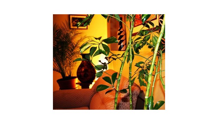 Hotel Inti Punku Machu Picchu poza 2