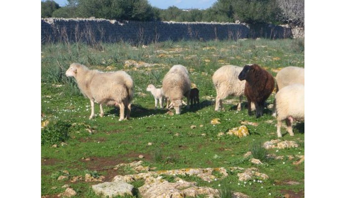 Hotel Matchani Gran poza 0