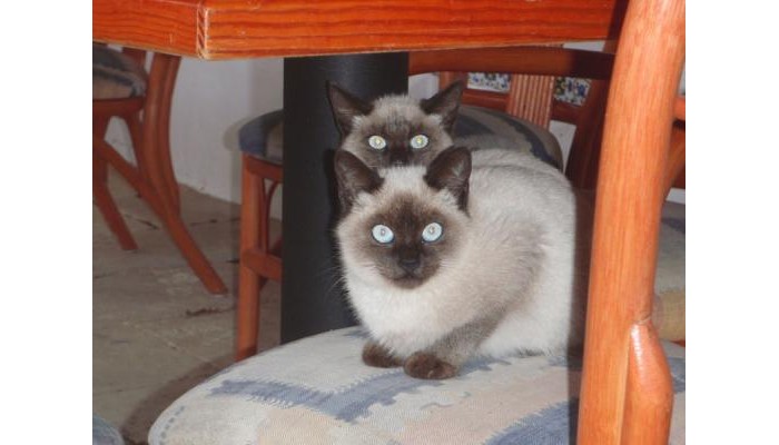 Hotel Matchani Gran poza 2