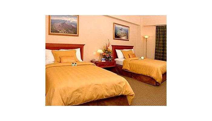 Hotel Holiday Inn Convention Center Managua poza 7