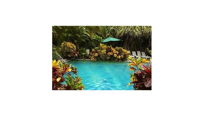 Maruba Resort Jungle Spa poza 11