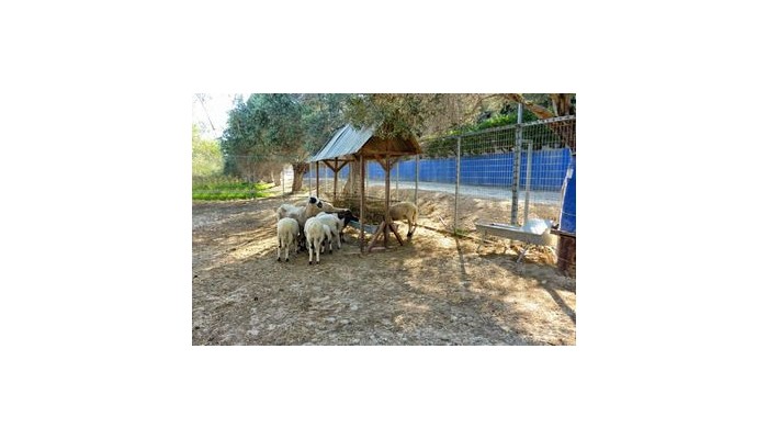 Hotel Hadjios Valley poza 3