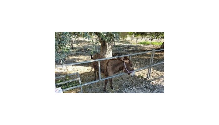 Hotel Hadjios Valley poza 2