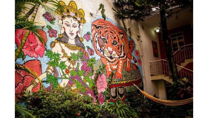 Hotel Cyan Suites poza 8