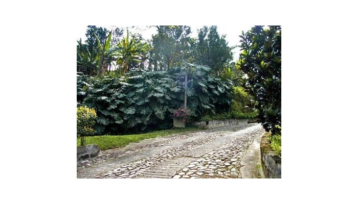 Hotel Gran Tierra poza 5