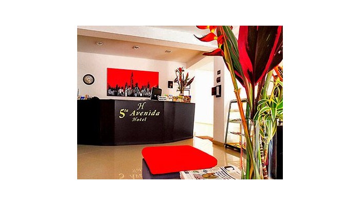 Hotel Quinta Avenida poza 7