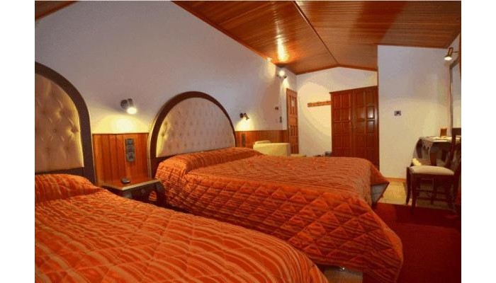 Hotel Apollon Metsovo poza 4
