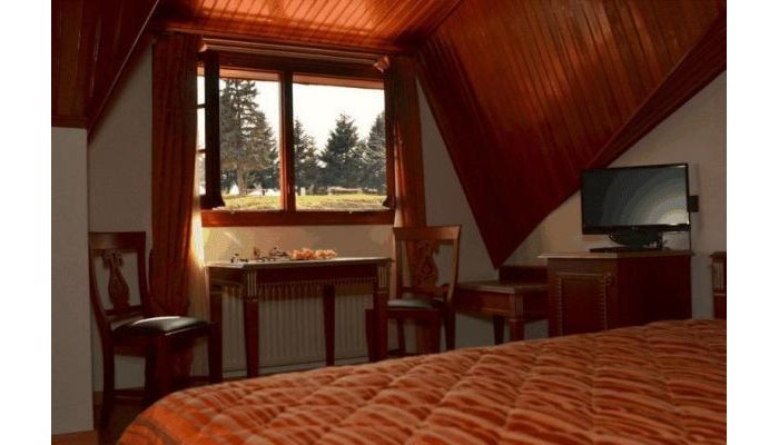 Hotel Apollon Metsovo poza 6