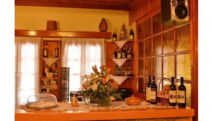 Hotel Apollon Metsovo poza 2