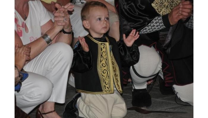 Hotel Apollon Metsovo poza 0