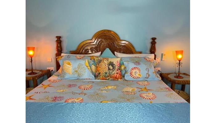 Oleza Boutique Hotel poza 4