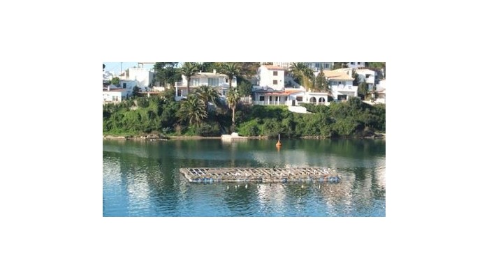 Hotel Del Almirante poza 8