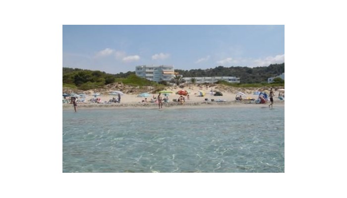 Hotel Hamilton Court poza 4