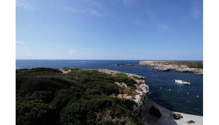 Hotel Hlg Binivell Park poza 1