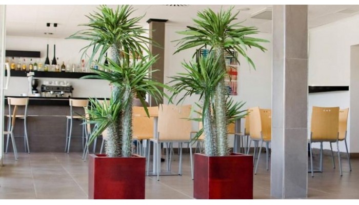 Hotel Platja Gran poza 4