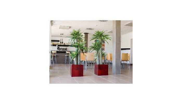 Hotel Playa Grande poza 9