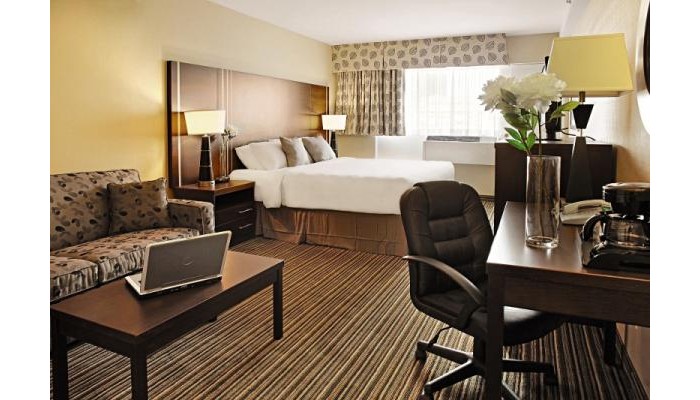 Poza pentru Hotel Comfort Suites Downtown Montreal 8741-1568425997 Hotel Comfort Suites Downtown Montreal poza 1
