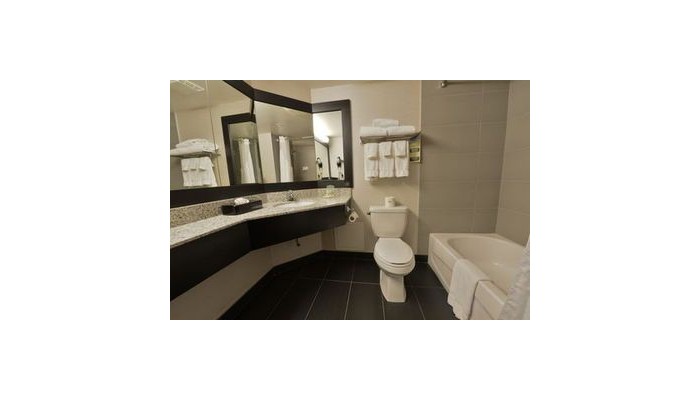 Poza pentru Hotel Holiday Inn Montreal Centreville Downtown 790-1507723741 Hotel Holiday Inn Montreal Centreville Downtown poza 2