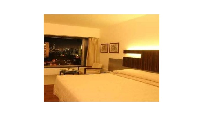 Hotel Krishna Palace poza 7