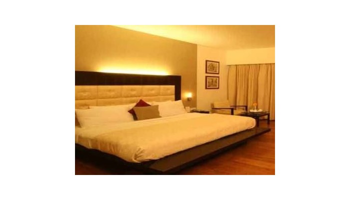 Hotel Krishna Palace poza 8