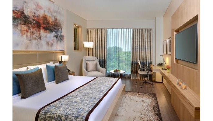 Hotel Radisson Mumbai Andheri Midc poza 7