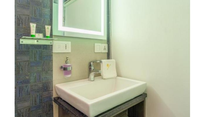 Hotel Treebo Metropolis poza 5