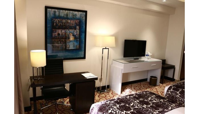 Levatio Hotel Muscat poza 6