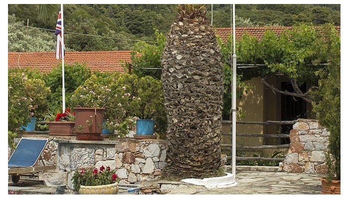 Hotel Afroditi poza 3