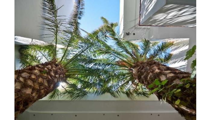 Hotel Anatoli poza 5