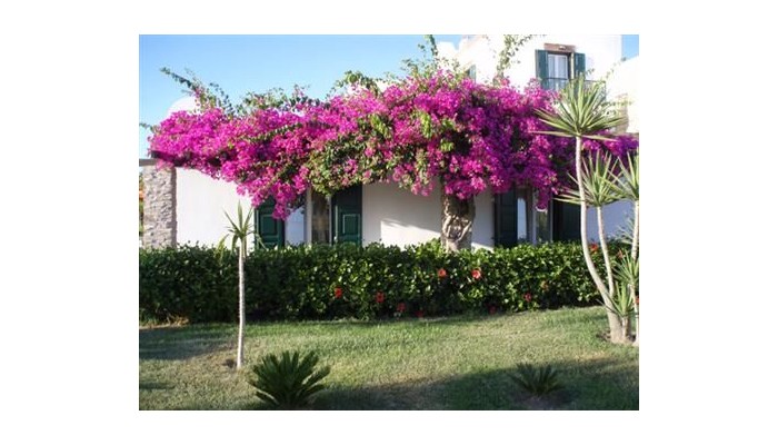 Hotel Porto Naxos poza 2