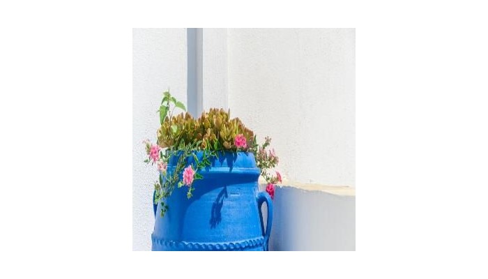 Hotel Poseidon poza 3