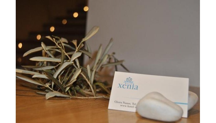 Xenia Hotel poza 4