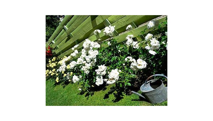 Hotel Antiguos poza 8