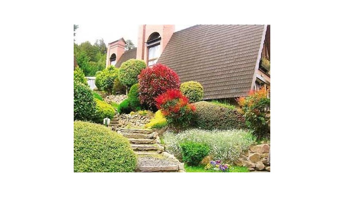 Hotel Cabaa±as Antilhue poza 3