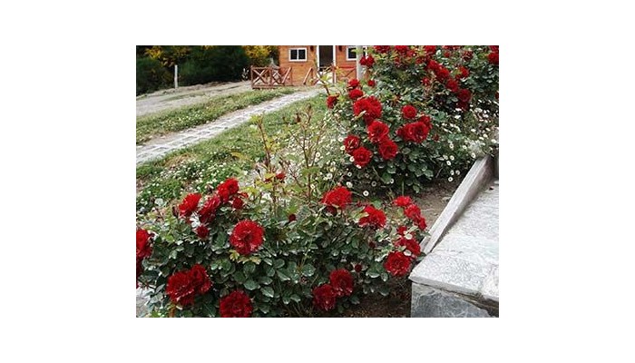 Hotel La Roca De La Patagonia poza 11