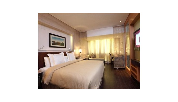 Hotel Ashok poza 3