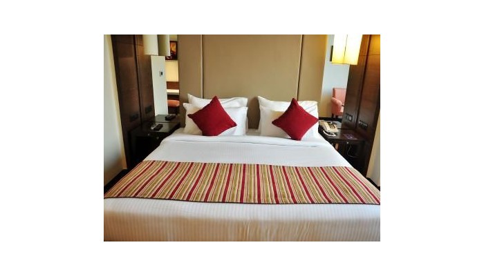 Hotel City Park Airport poza 3
