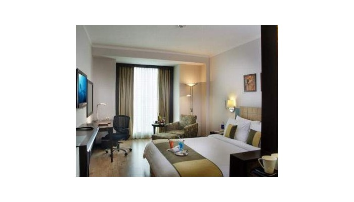 Hotel Express Sarovar Portico poza 7