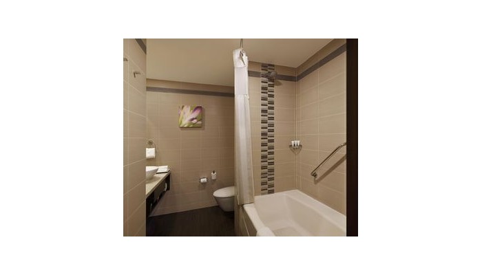 Hotel Hilton Garden Inn Saket poza 9