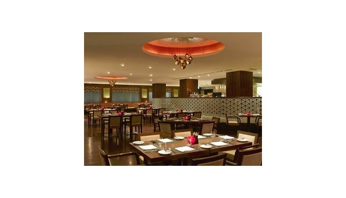 Hotel Hilton Garden Inn Saket poza 10