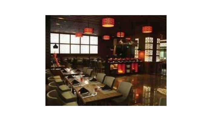 Hotel Holiday Inn Mayur Vihar Noida poza 8
