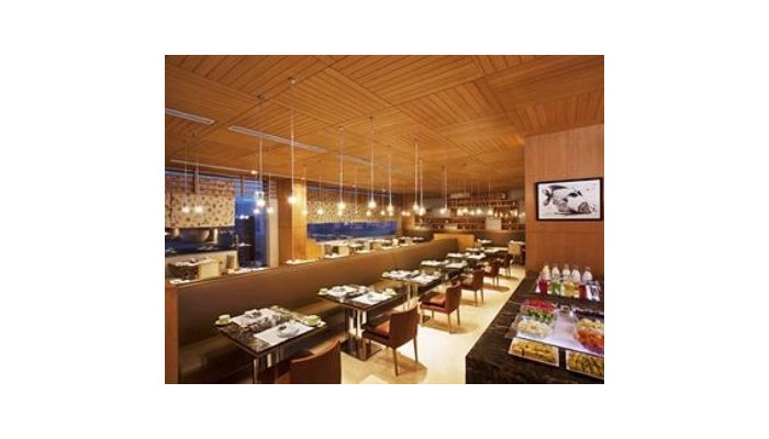 Hotel Holiday Inn Mayur Vihar Noida poza 7